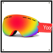 Ski Goggles