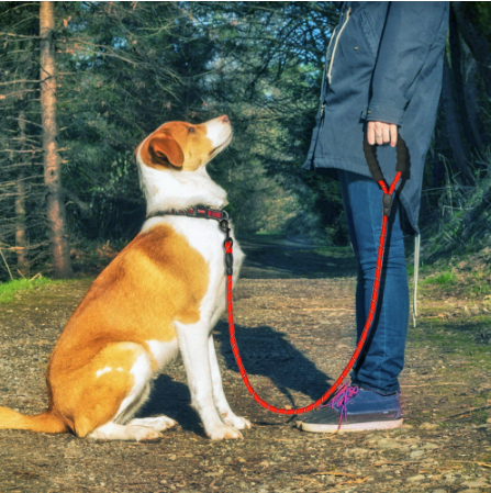 Reflective Dog Leash Nylon Pet Dog Leash Rope